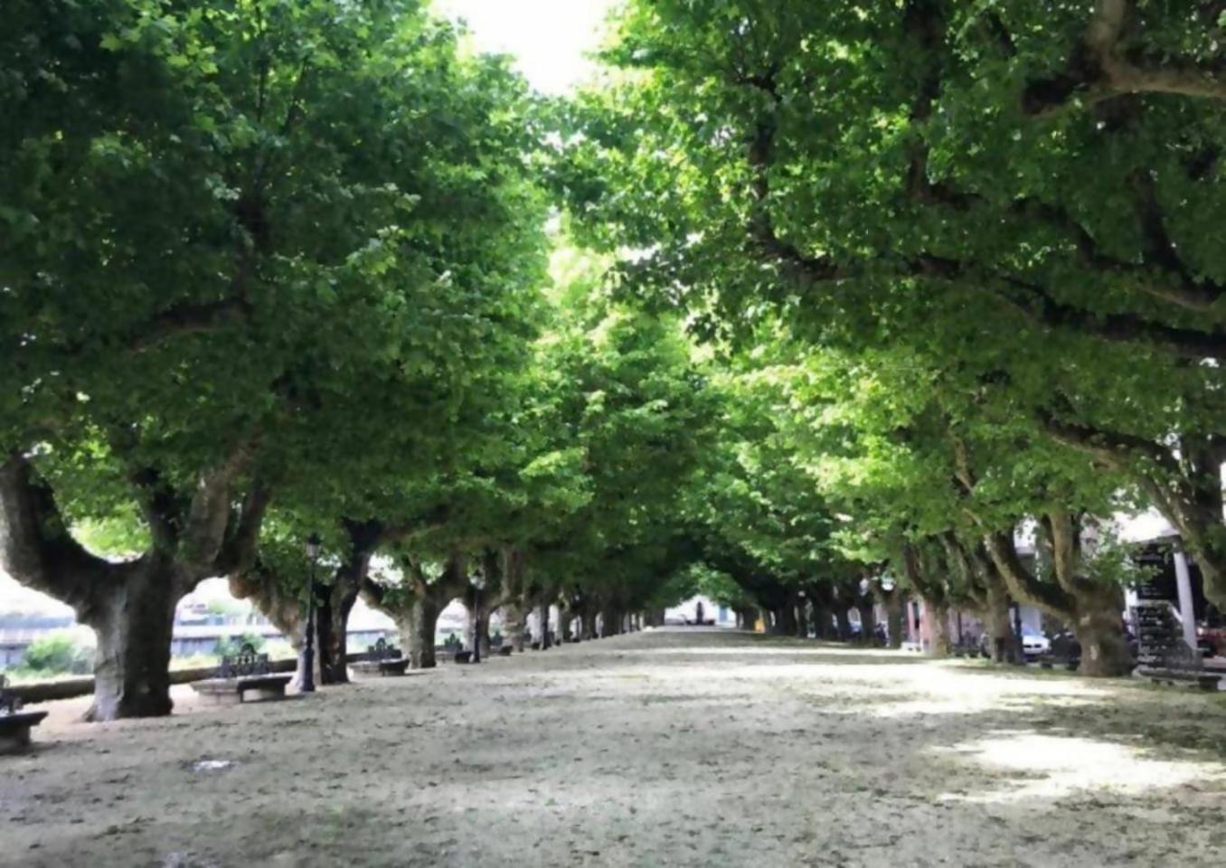Apartamento Ryr Padrón Dış mekan fotoğraf
